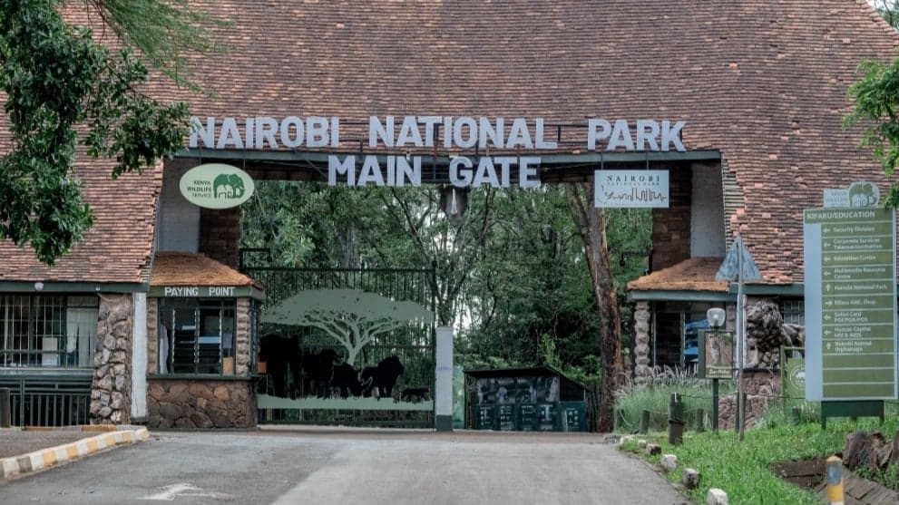 KWS payment system issues highlight DPI governance failure in tourism