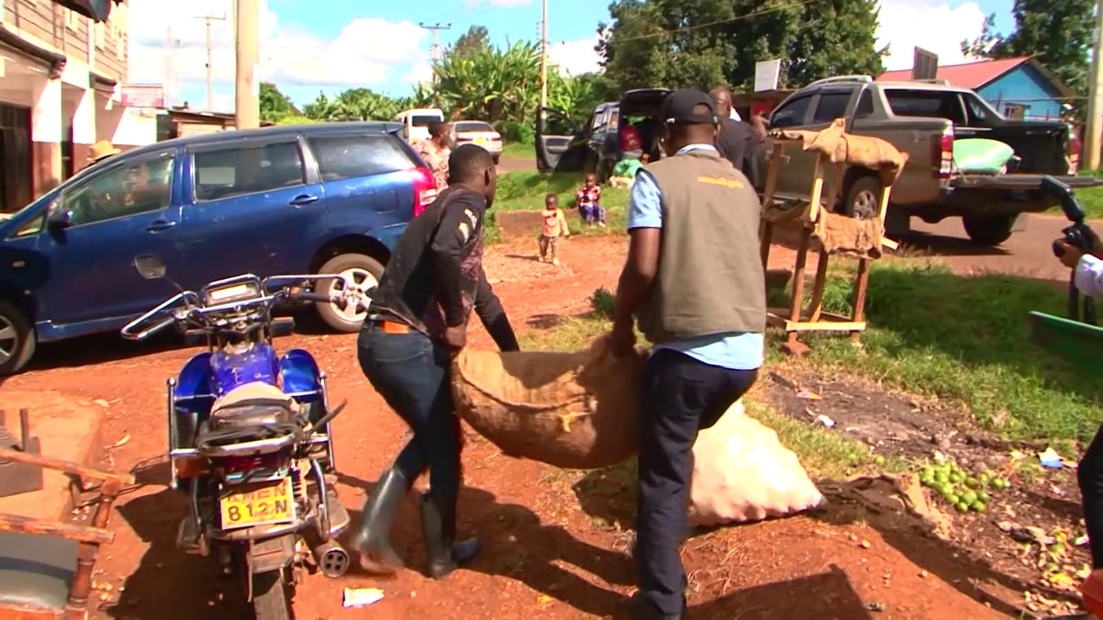 Govt intensifies crackdown on unlicensed macadamia dealers