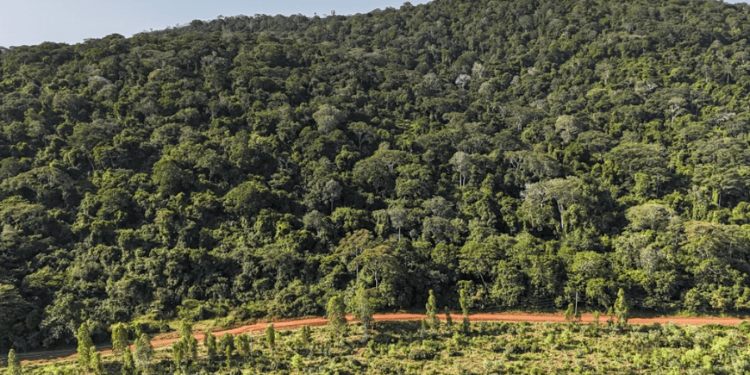 Kenya Puts Mrima Hill Rare Earths Up for Open Tender After US-China Scramble