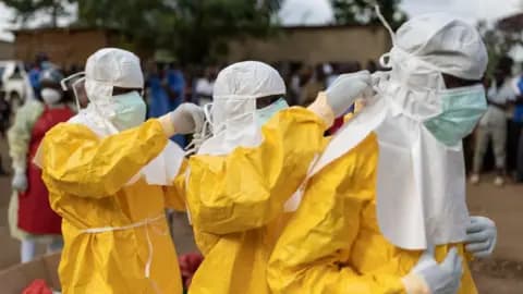 WHO Reports 906 Suspected Ebola Cases, 223 Deaths in DRC as Bundibugyo Outbreak Spreads