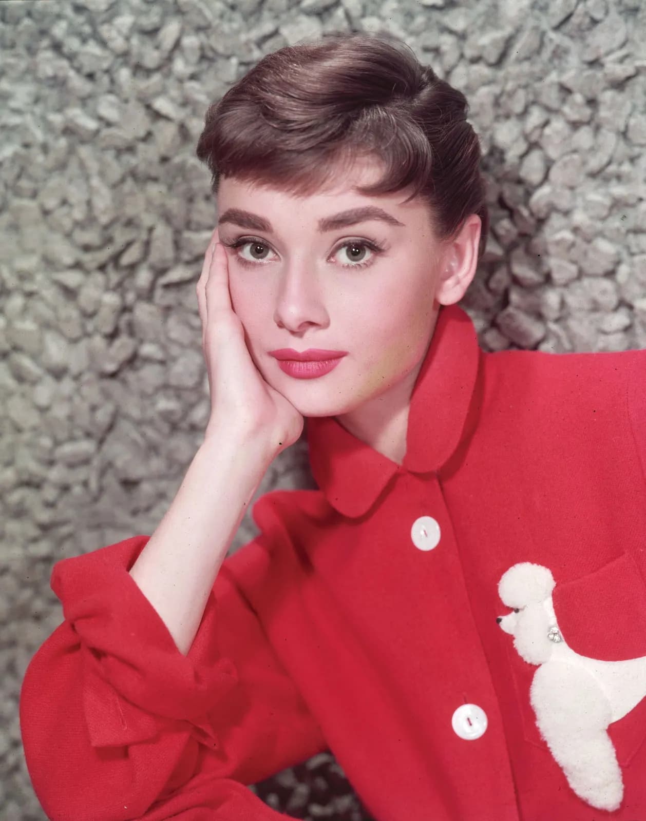 Audrey Hepburn Net Worth