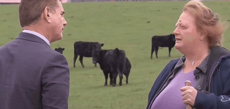 American Family Rejects $26,000,000 Offer to Give Part of Their Farm for Data Center