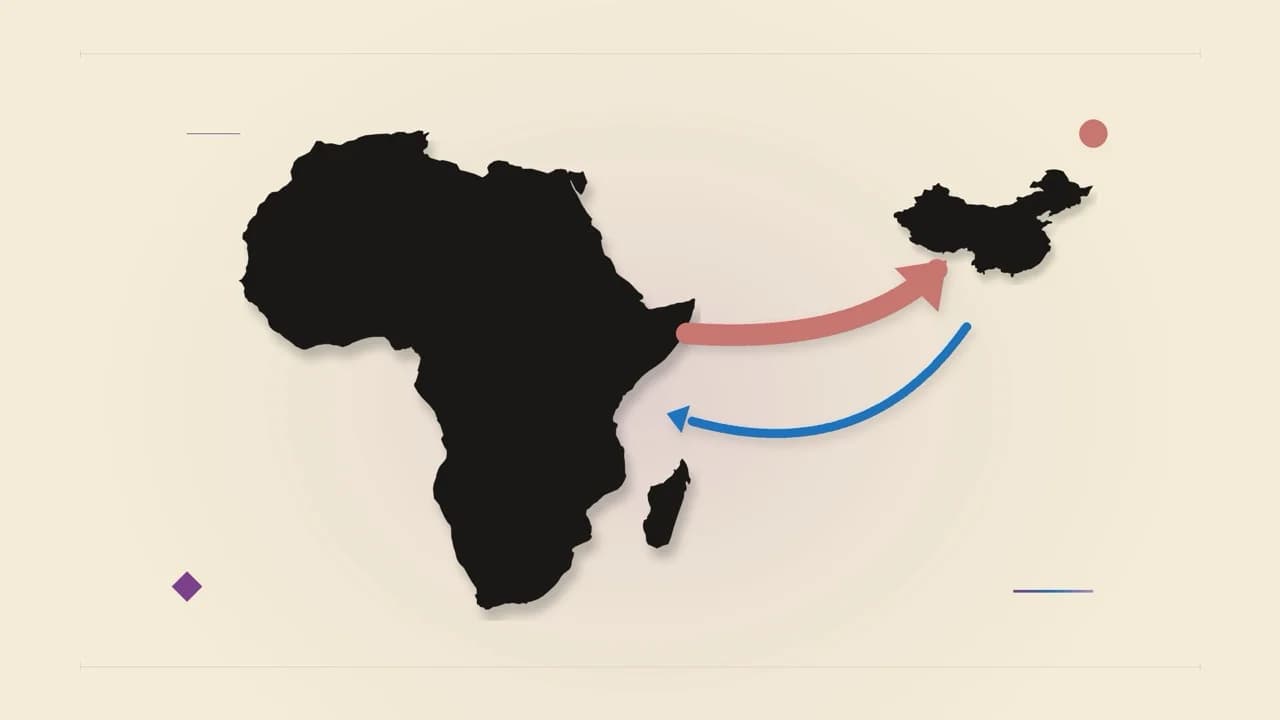 China-Africa Trade Hits $275 Billion as Africa Repays More Than It Borrows