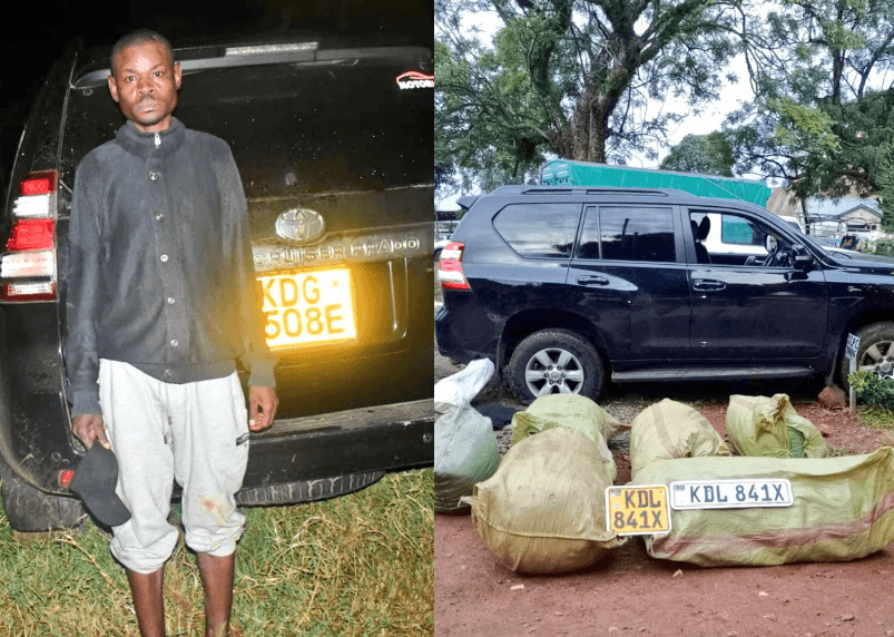 Major Drug Trafficker Arrested in Kisii