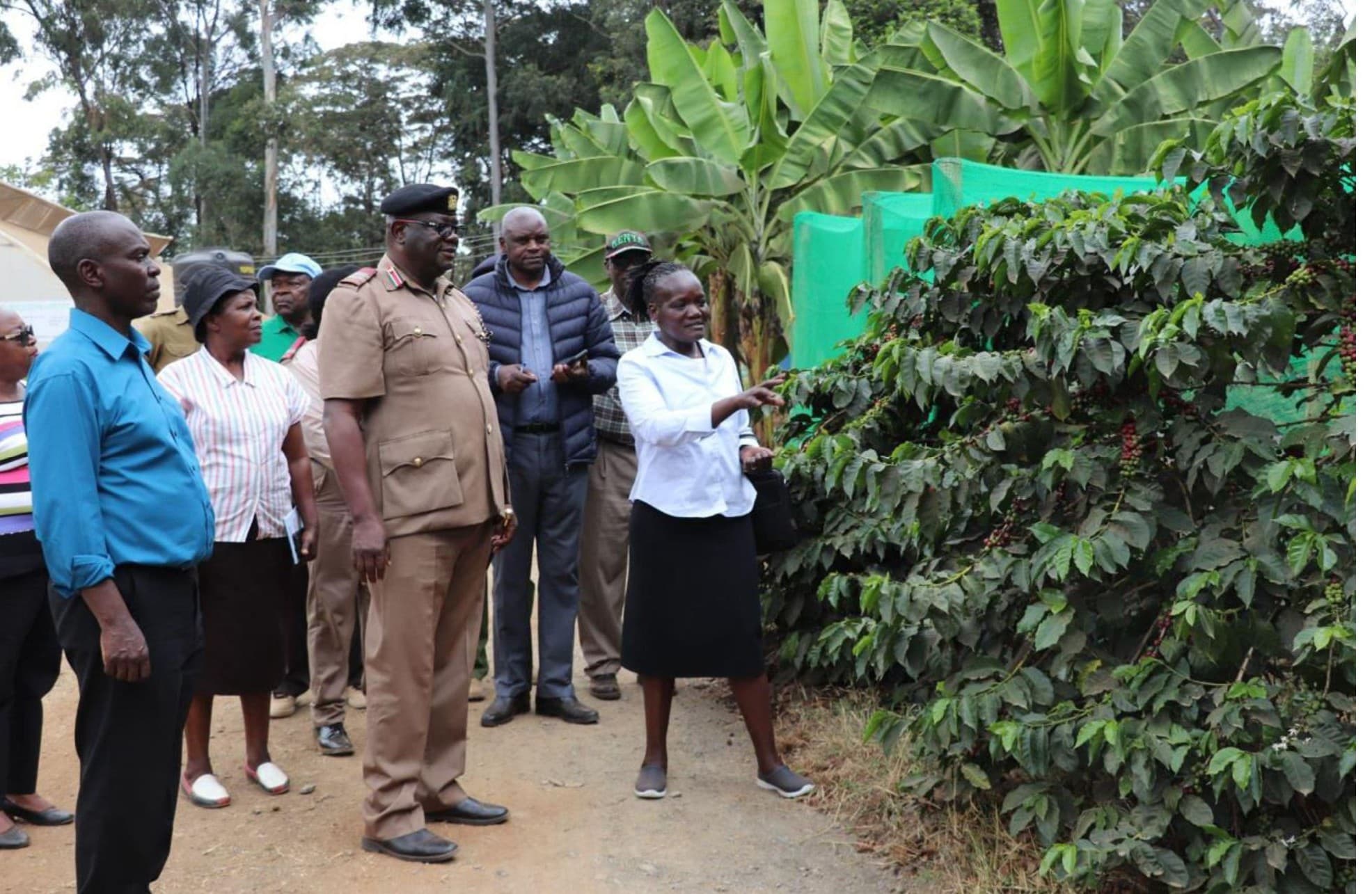 Nairobi International Trade Fair preparations reach 99 percent complete