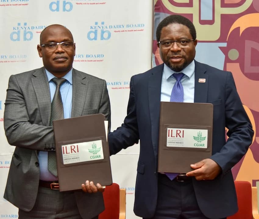 Kenya’s Dairy Production Transforming From ‘Farm to Glass’