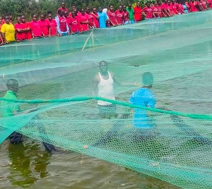Vokoli girls benefit from fish project
