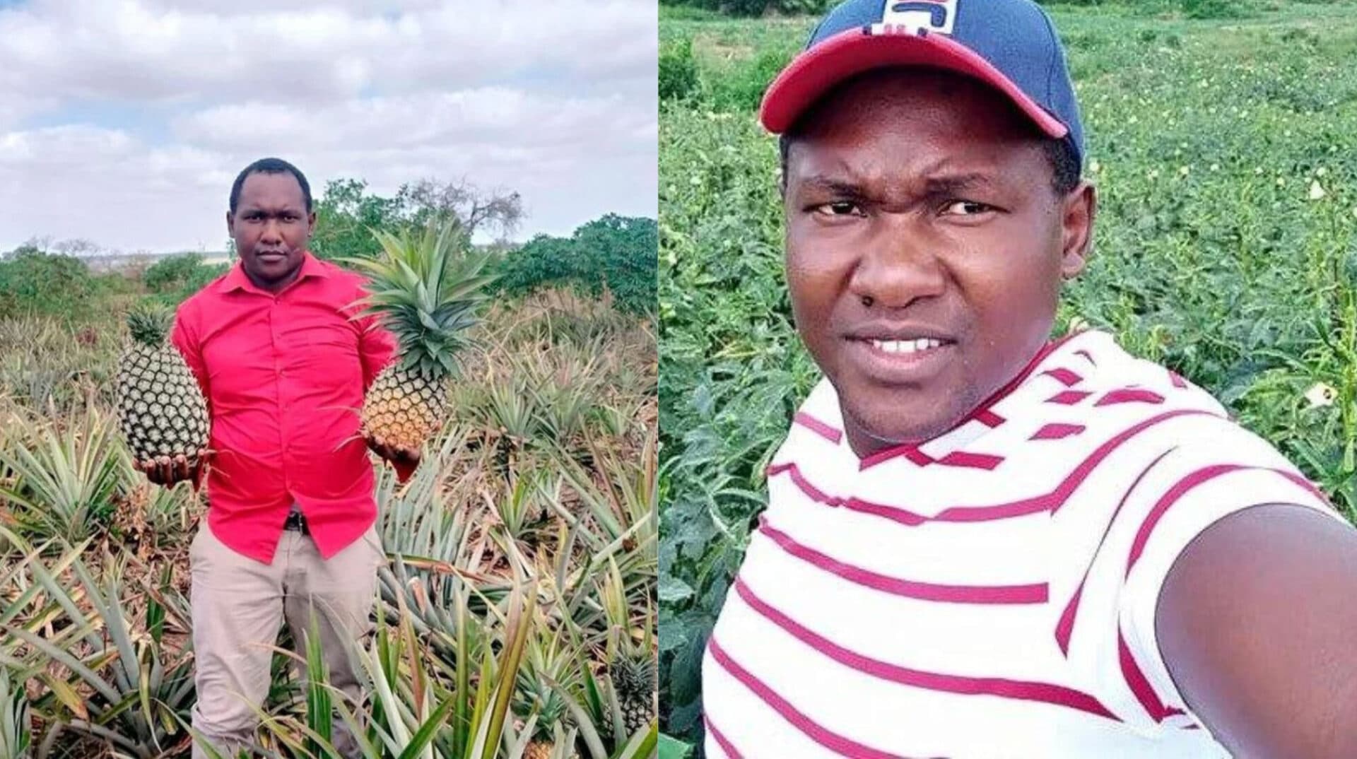 Zachariah Makori: Former fruit vendor making millions from pineapple farming