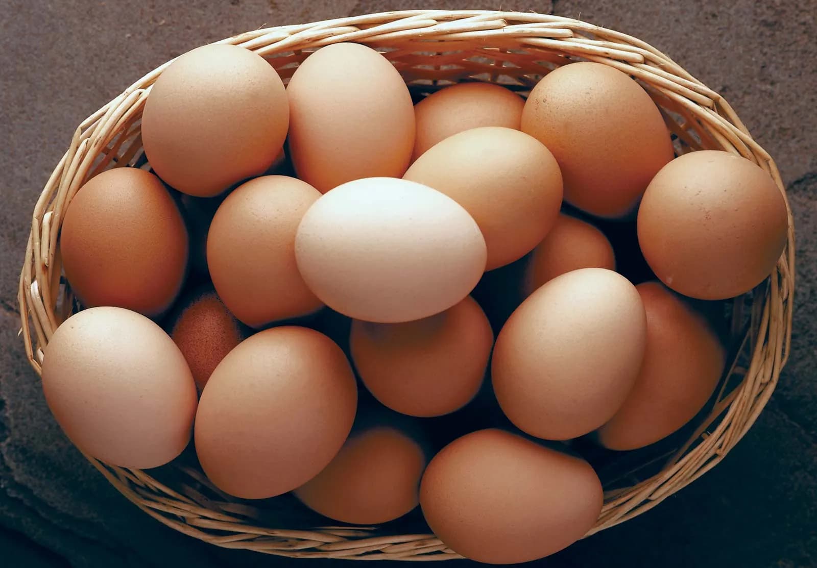 Egg Alternatives Gain Traction as Higher-Protein Foods Draw Nutrition Focus