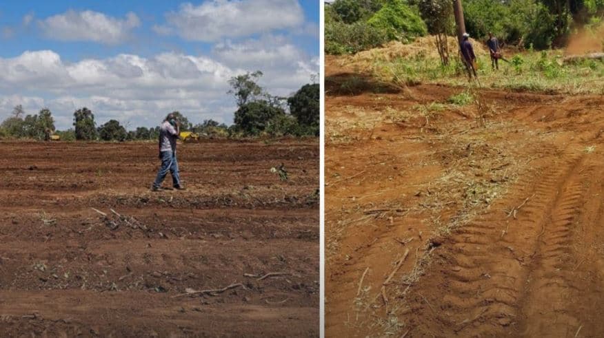 Govt Defends Sacrificing 8 Acres of Imenti Forest to Save 600,000-Acre Mt Kenya Ecosystem