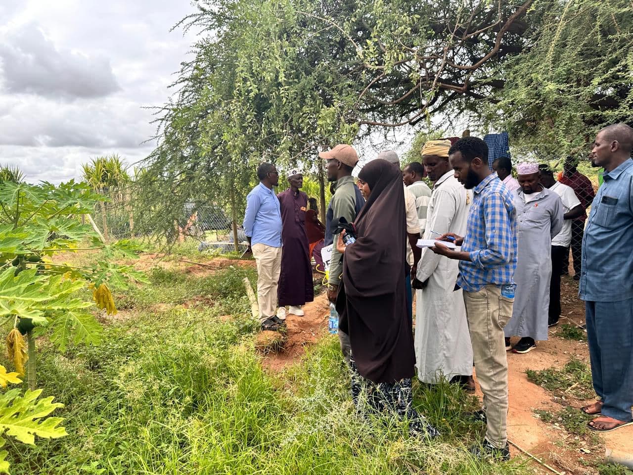 Mandera trains 20 lead farmers to strengthen grassroots agricultural support