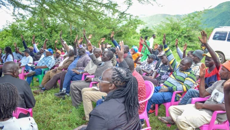 Nakuru County invests in fodder to strengthen livestock sector