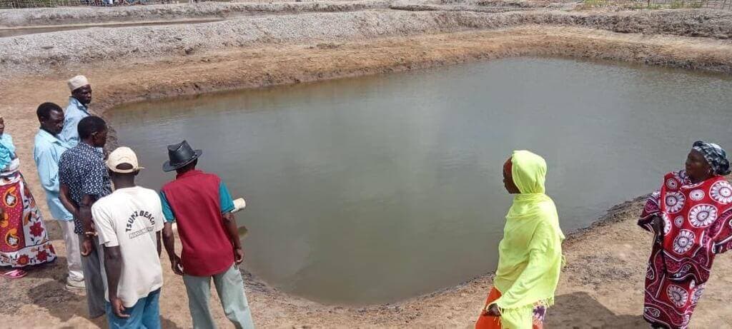 Kwale fish farming group cashes in on falling Indian Ocean fish stocks