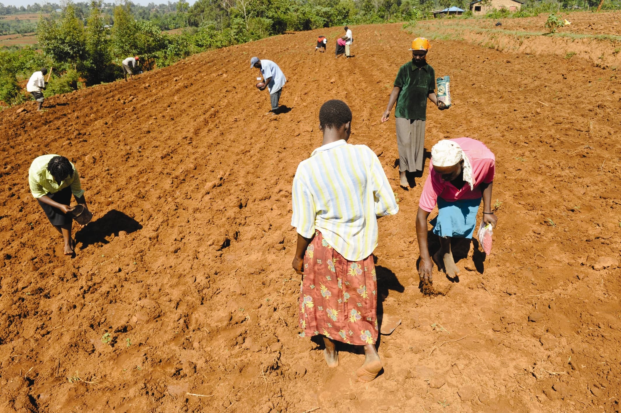 Job Openings in Kenyan agriculture: April 2026