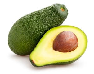 Fact sheet: reliable Avocado buyers and exporters in Kenya