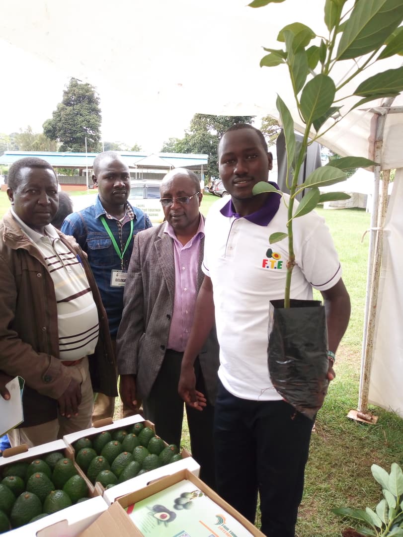 Avocado exporter looking for 10,000 farmers to grow the crop