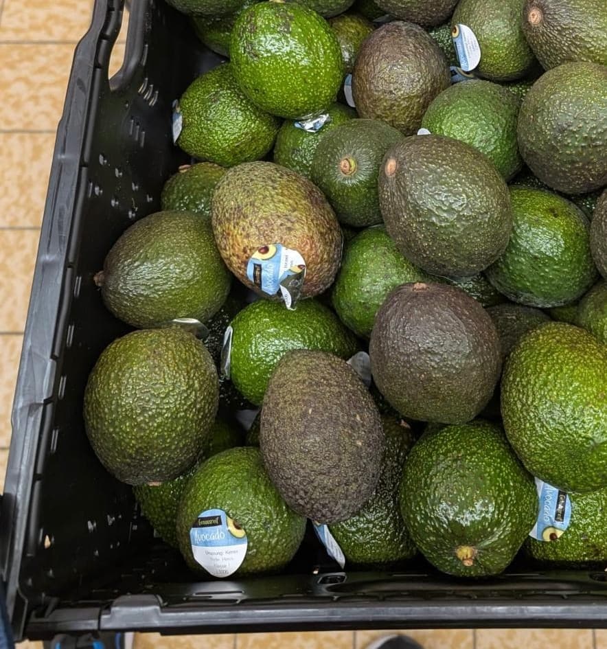 Kenyan avocado industry in crisis on failed export ban