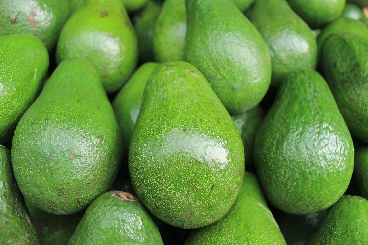 Inside Kenyan company helping smallholder farmers profit from avocado exports
