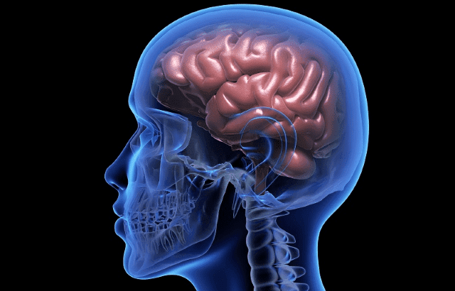 Brain Haemorrhage: Types, Causes, Symptoms And Treatment