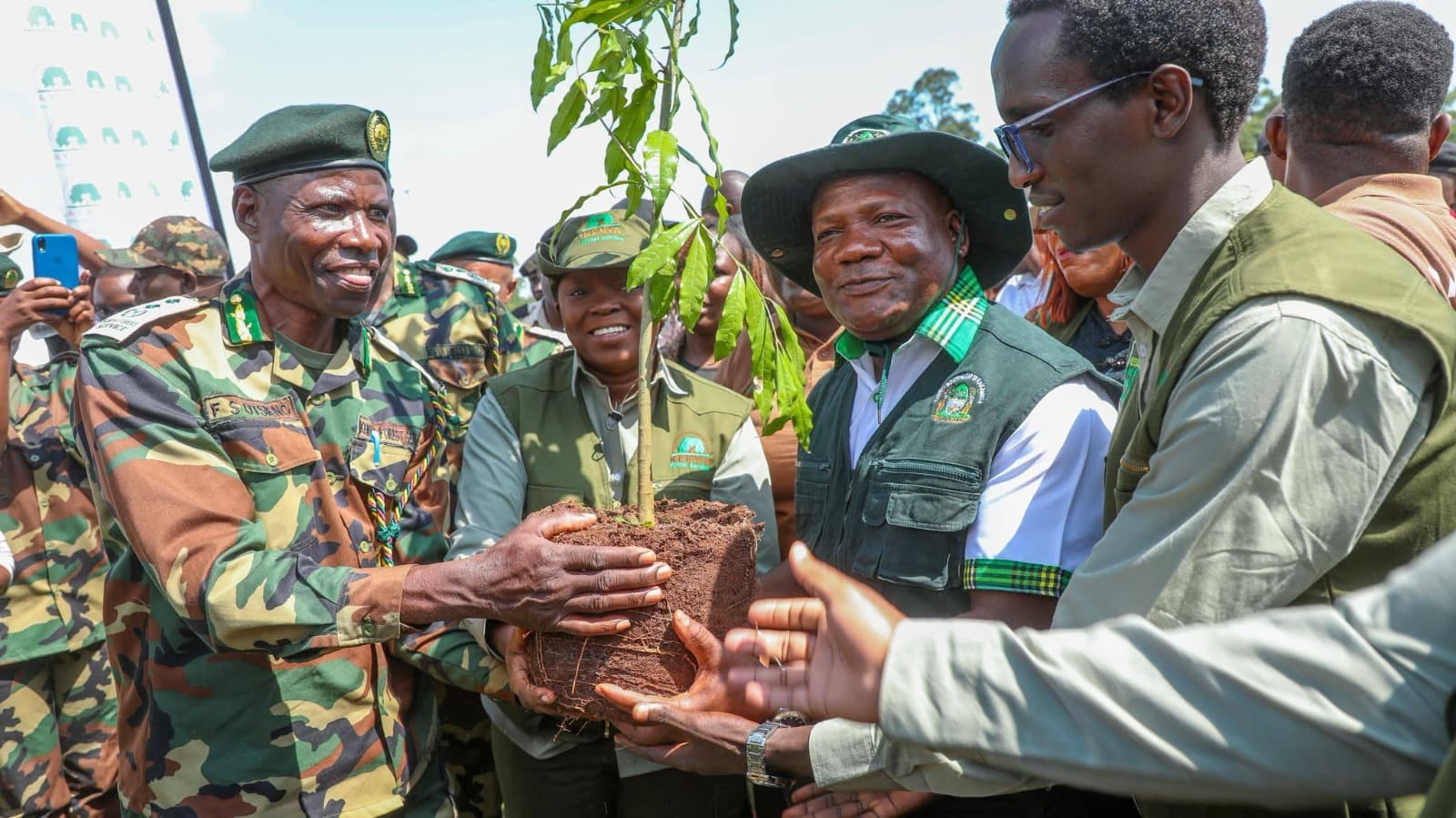 Conservationists push for protection of rainforests