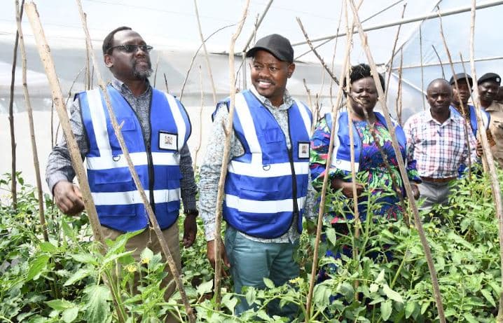 Government commissions irrigation project at Raongo primary school