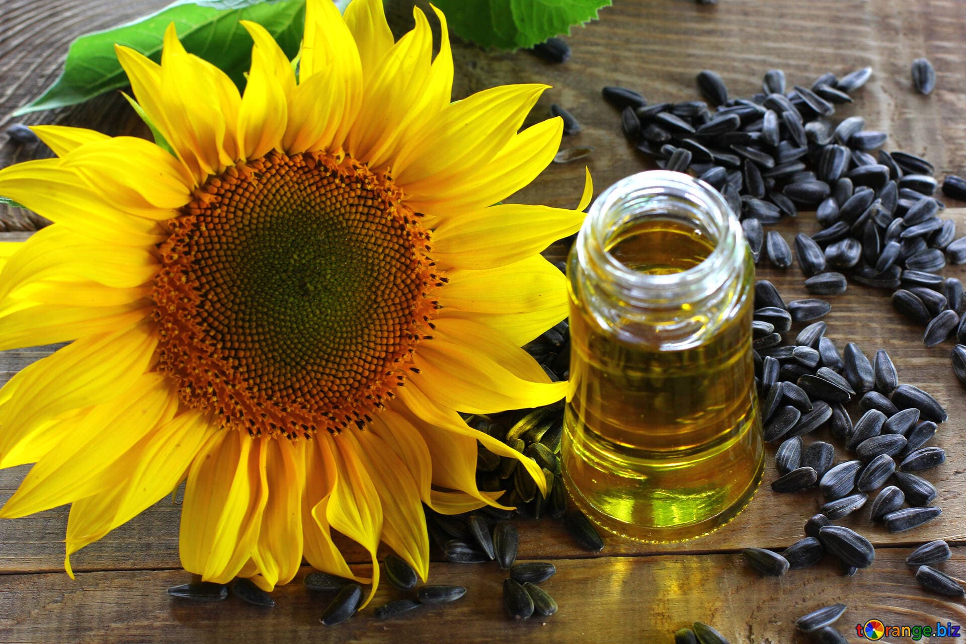 Govt registers farmers ahead of 500MT sunflower seed disbursement