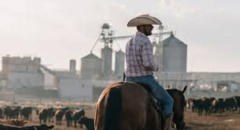 Adams Land & Cattle RNG Facility Starts Construction as Ameresco Aims to Support Local Community