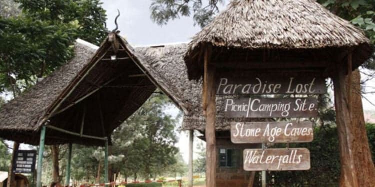 Mbugua Mwangi: Kenyan Tycoon Behind Disputed KSh20 Billion Paradise Lost Land