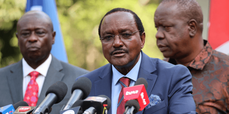 Mohamed Ali Lands Top Wiper Role in Kalonzo’s Leadership Shake-Up