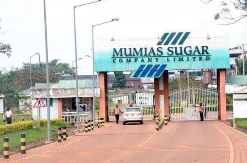 Mumias Sugar Shareholder Takes CMA to Task Over Suspended Shares