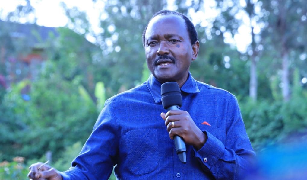 Kalonzo Musyoka: We Will Not Allow “Ruto’s Commission” in IEBC Reconstitution