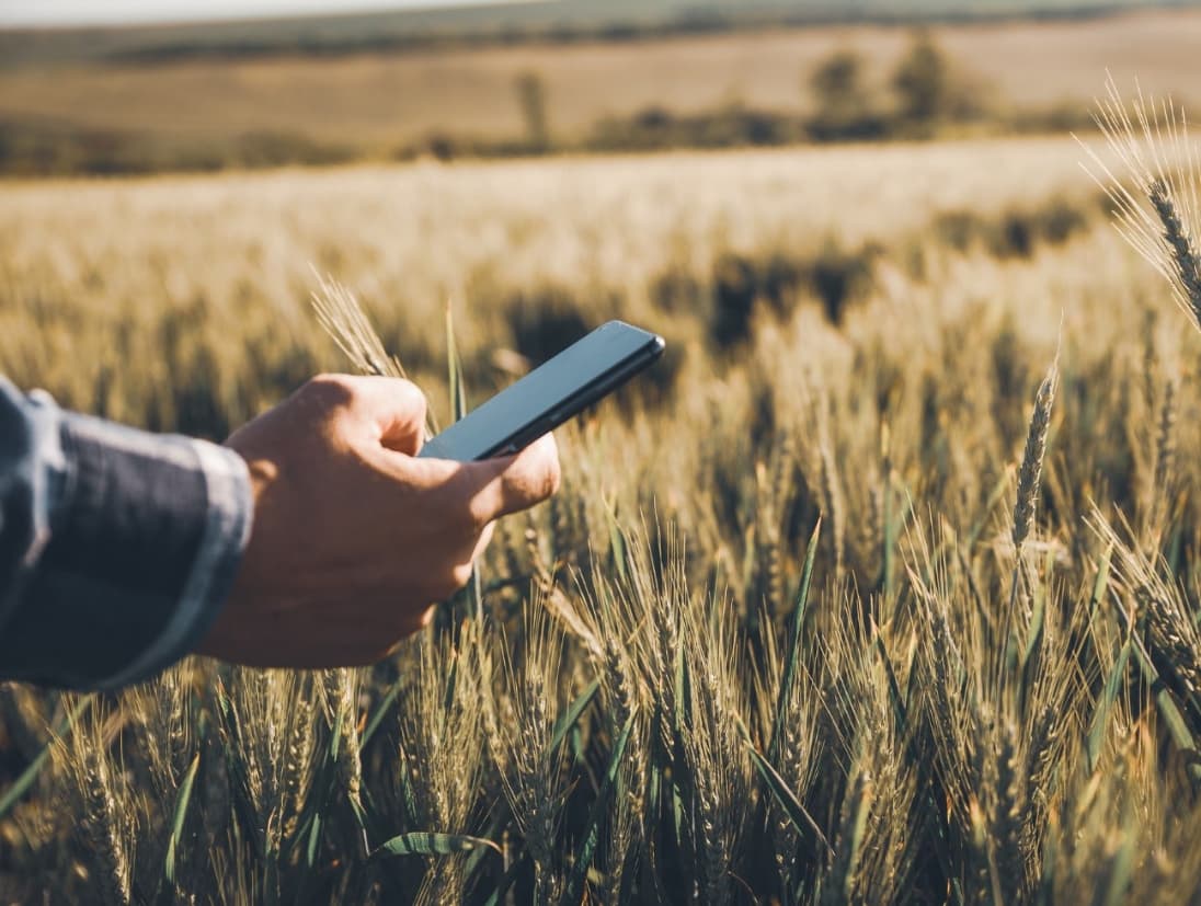 Why Kenyan farmers need insurance