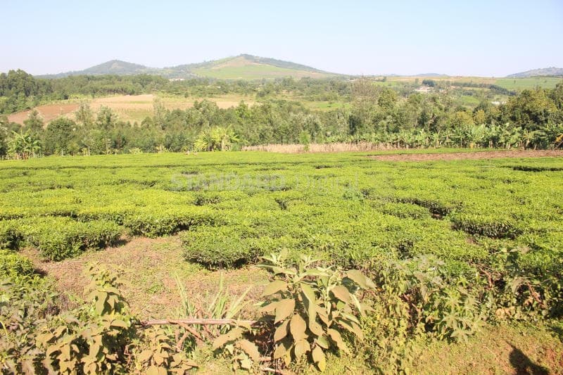 Borabu settlers challenge government over 60-year-old land debt claims