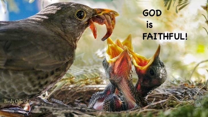 Trusting in God’s Faithfulness: Dependable and Trustworthy