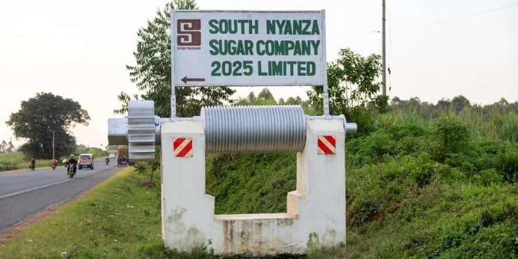 PHOTO STORY: A Sweet Turnaround: Sony Sugar Revival Rekindles Hope in Migori
