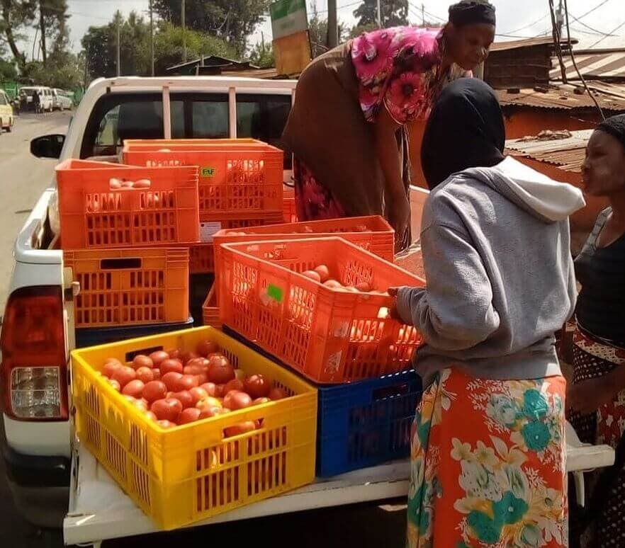 Farm to Feed: Helping farmers find a market for ‘bad’ & excess produce