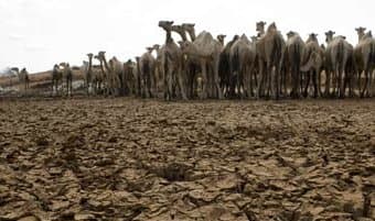 World Bank launches manual to coordinate climate change interventions
