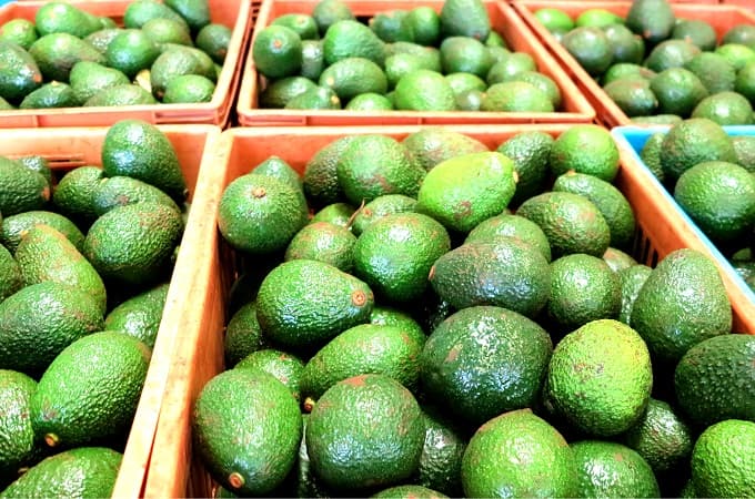 Kisii County plans to revive stalled avocado factory to provide market for farmers