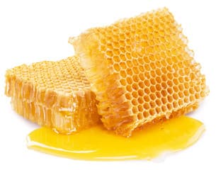 Biologist changing Maasai community fortunes through beekeeping enterprise