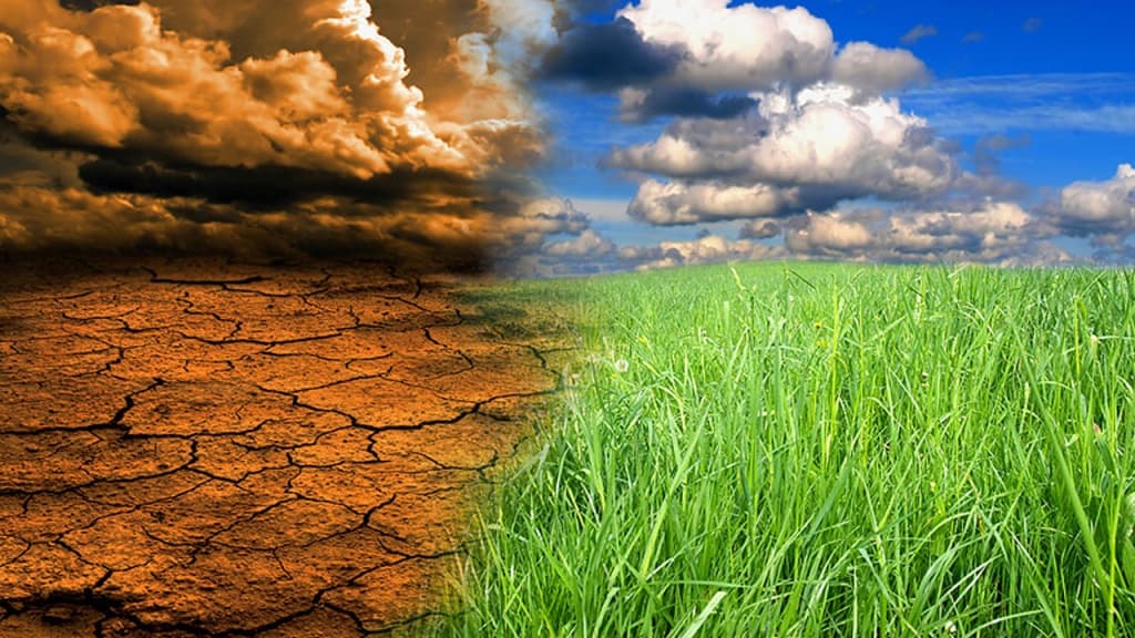 FAO: Millions of people at risk of hunger malnutrition and poverty due to climate change