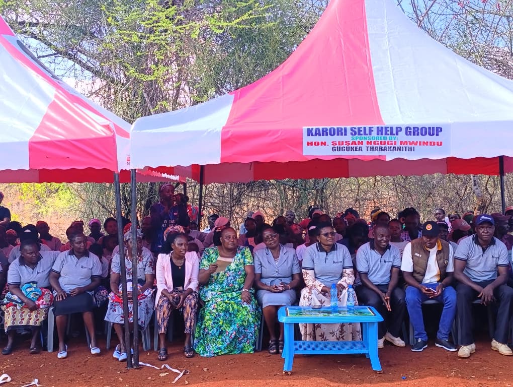 Woman Rep questions 27 per cent FGM figure, warns against misrepresentation of Igambang’ombe 