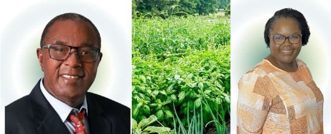 Chotis: Kenyan couple making millions from selling Misheveve, Mrenda in US
