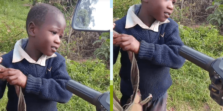 Musa Kihara: Meet The Boy Behind the Viral “Kwa Mbae” TikTok Trend