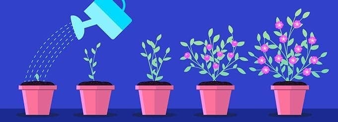How to tap in to Flourish-Favour comes with responsibility in order to flourish