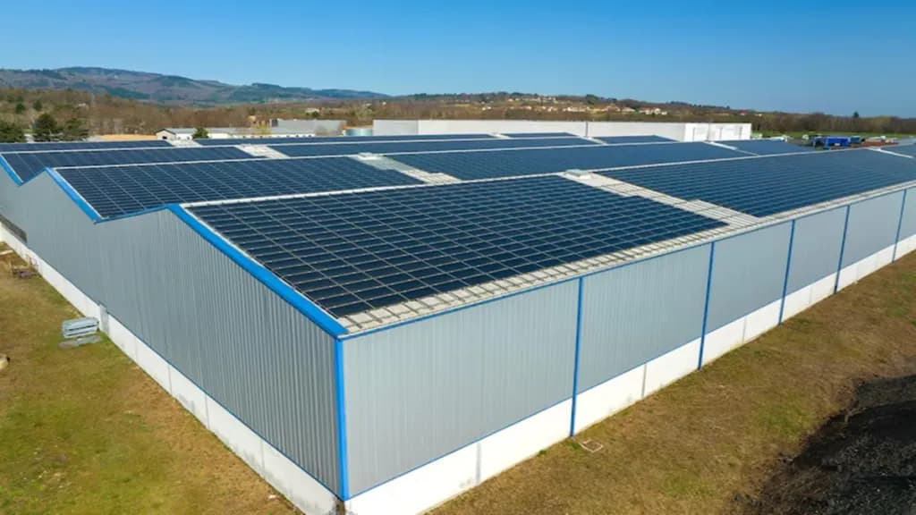 Absa Bank Kenya Partners with UN Agencies to Finance Cold-Storage Facilities