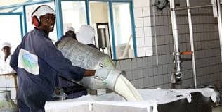 North Rift farmers earn Sh2.3bn from milk sales to Brookside