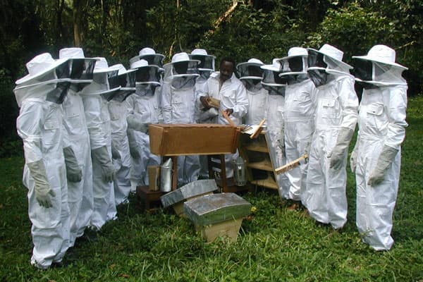 Uganda’s agricultural body points frustrated farmers to fortunes