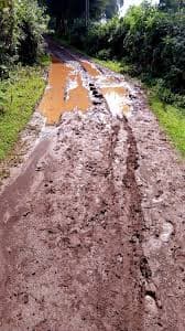 Stalled Nyaribari Masaba roads in Kisii: A political time bomb ahead of the 2027 polls