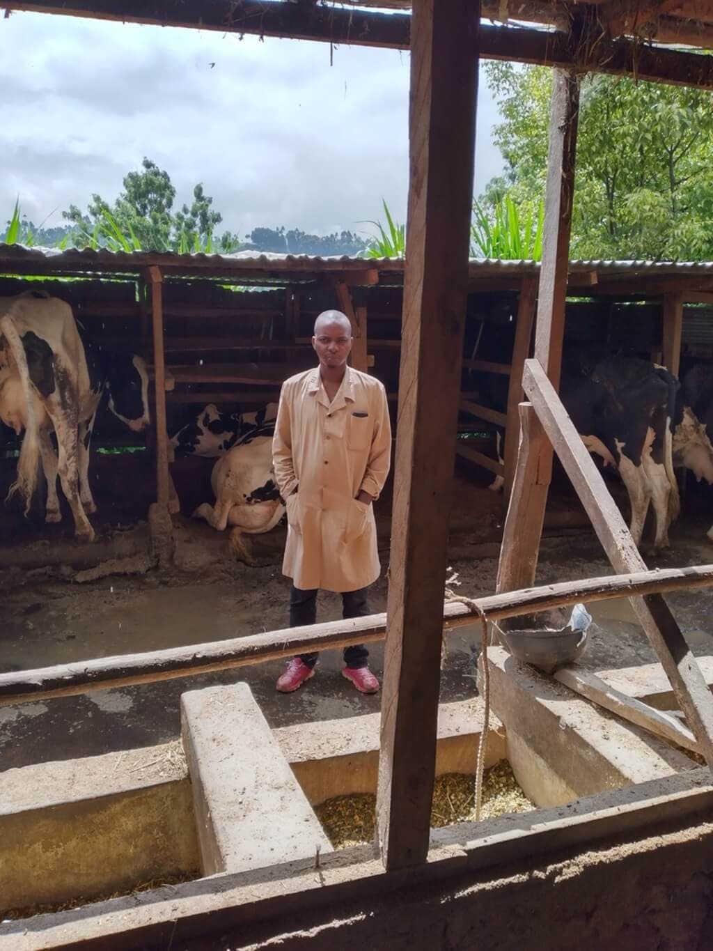Meru dairy farmer banks on genetics to turn profit as feed costs rise