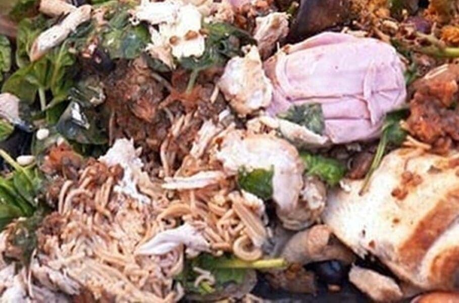 How Food Waste Is Harming Our Environment